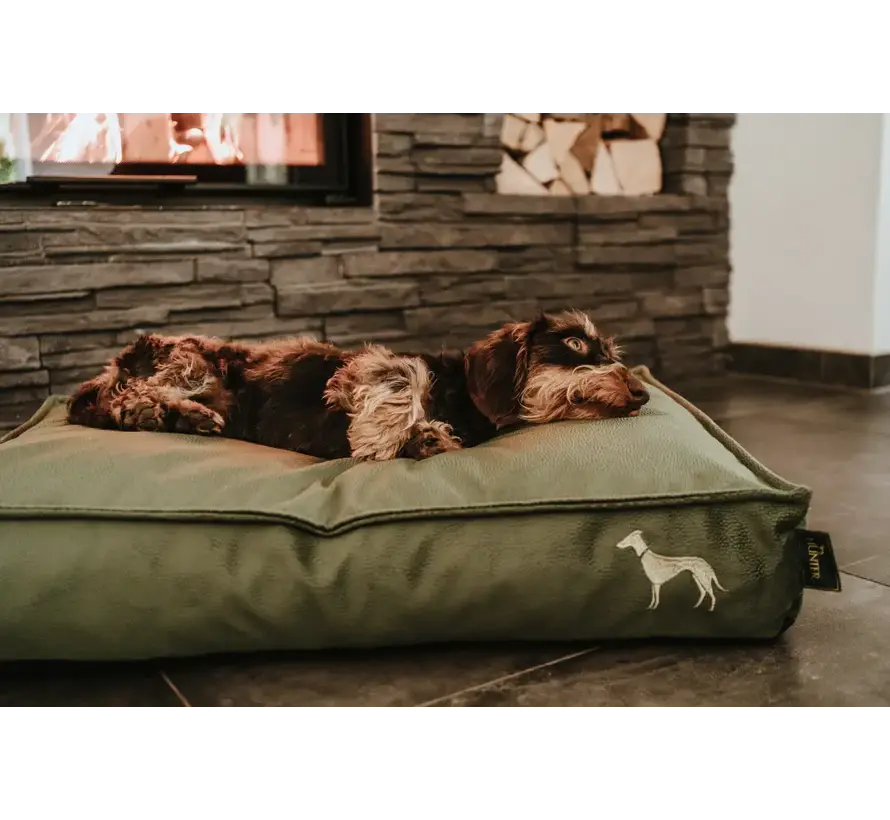 Orthopedic Dog Cushion Merida Green