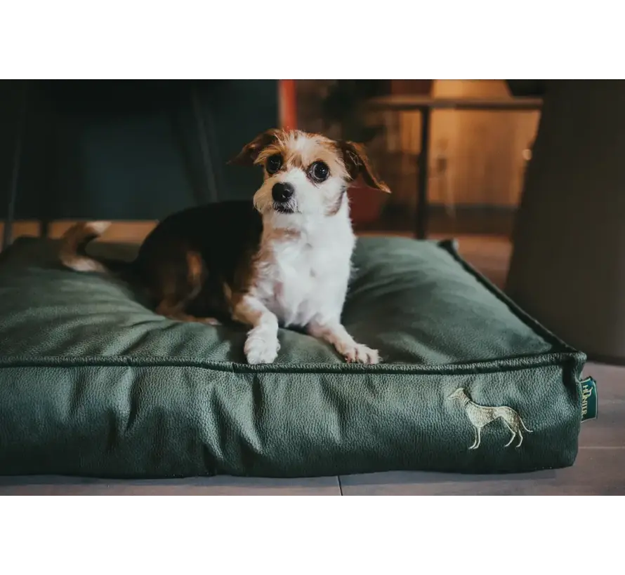 Orthopedic Dog Cushion Merida Green