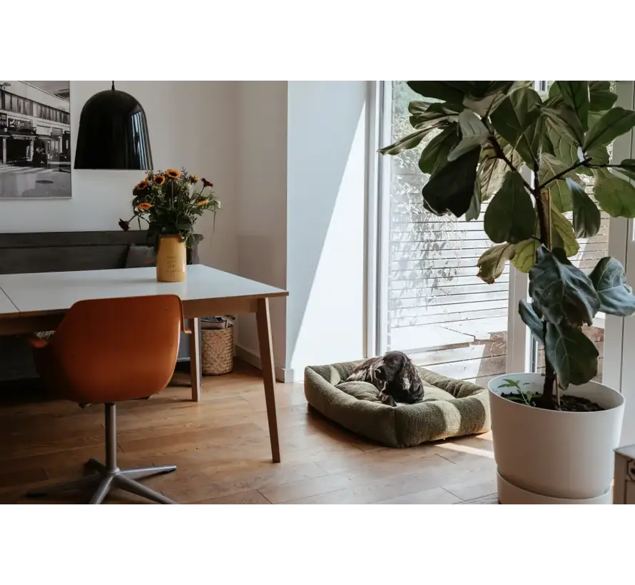 Hondenmand Kumara Groen