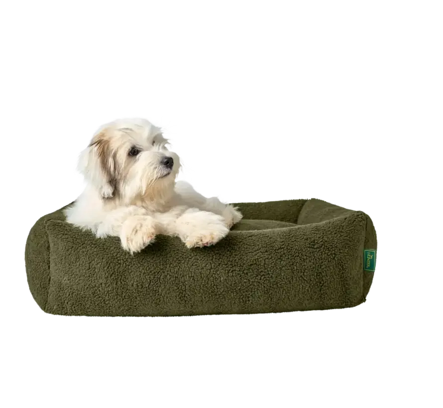 Hondenmand Kumara Groen