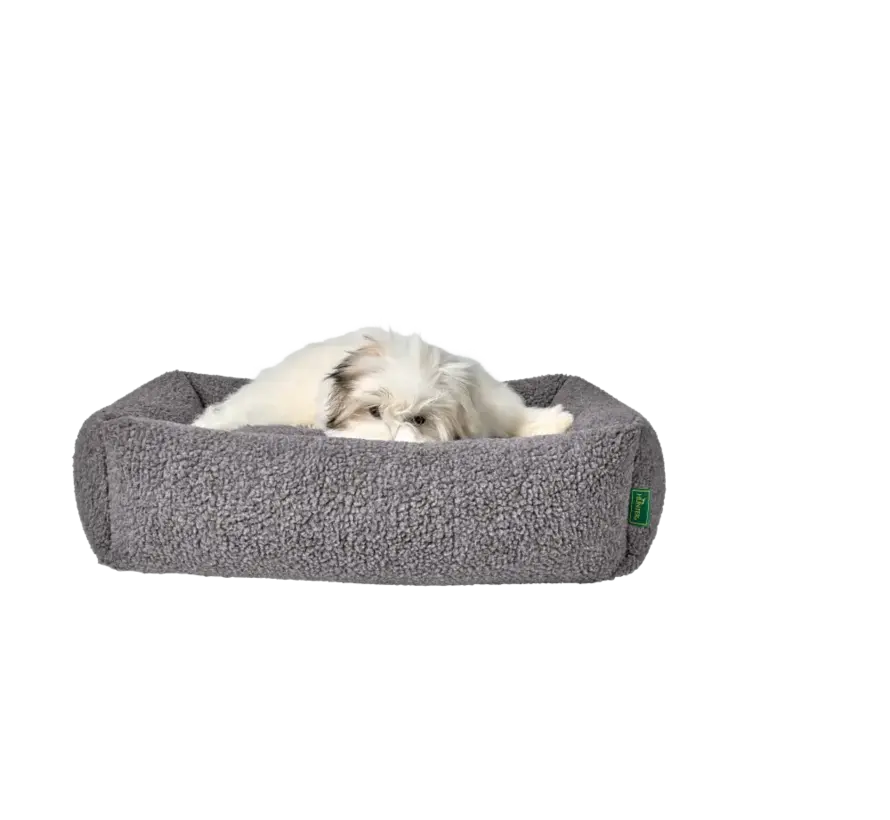 Hondenmand Kumara Grijs