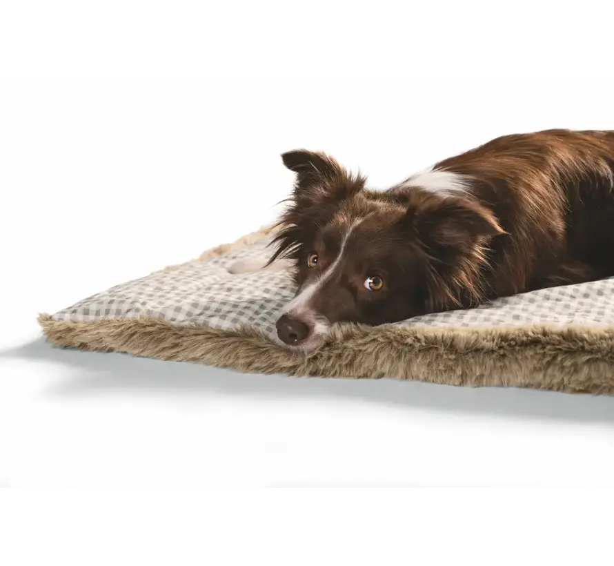 Dog Blanket Astana Beige