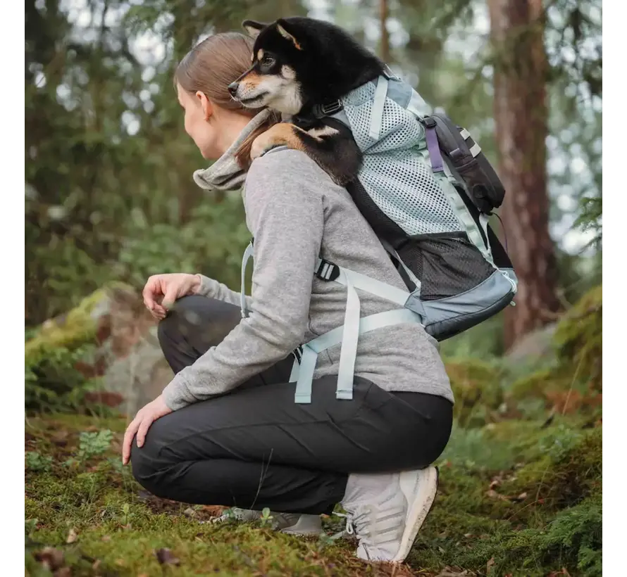 Compact Storage Bag for Backpack Kompanion