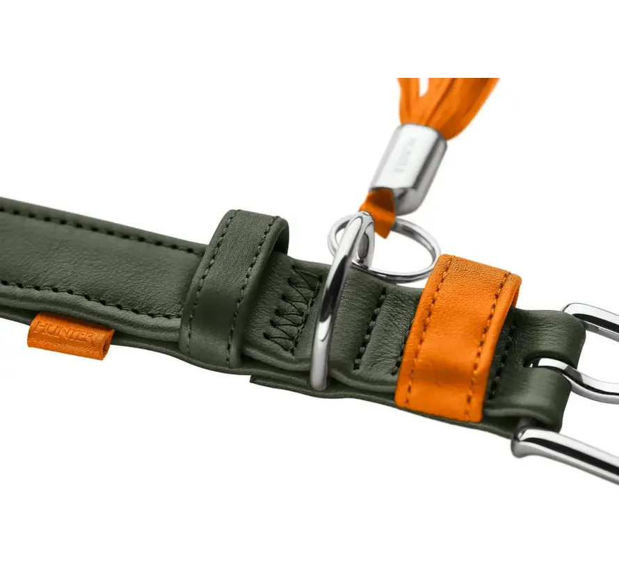 Hondenhalsband Portofino Olive