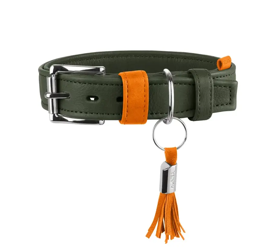 Hondenhalsband Portofino Olive
