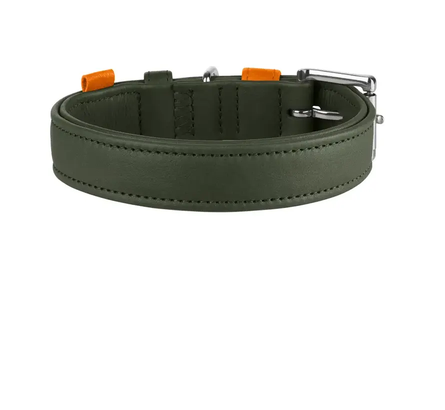Hondenhalsband Portofino Olive