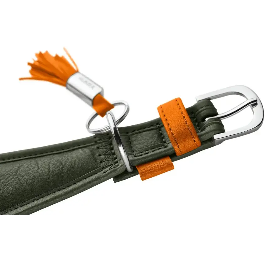 Greyhound Collar Portofino Olive