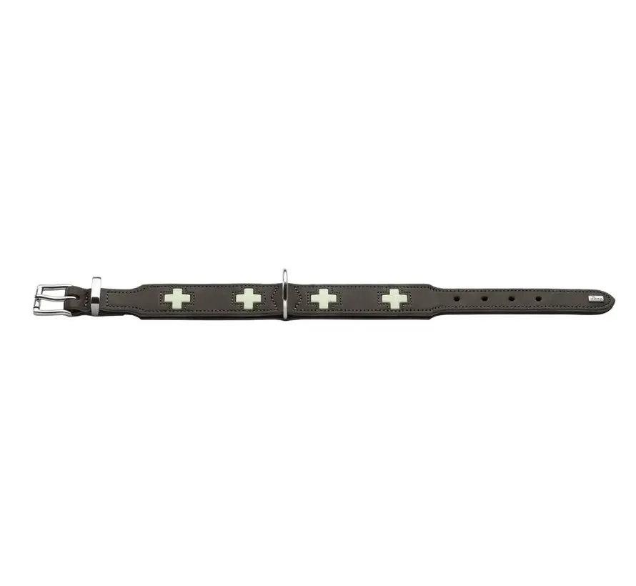 Hondenhalsband Swiss Glow