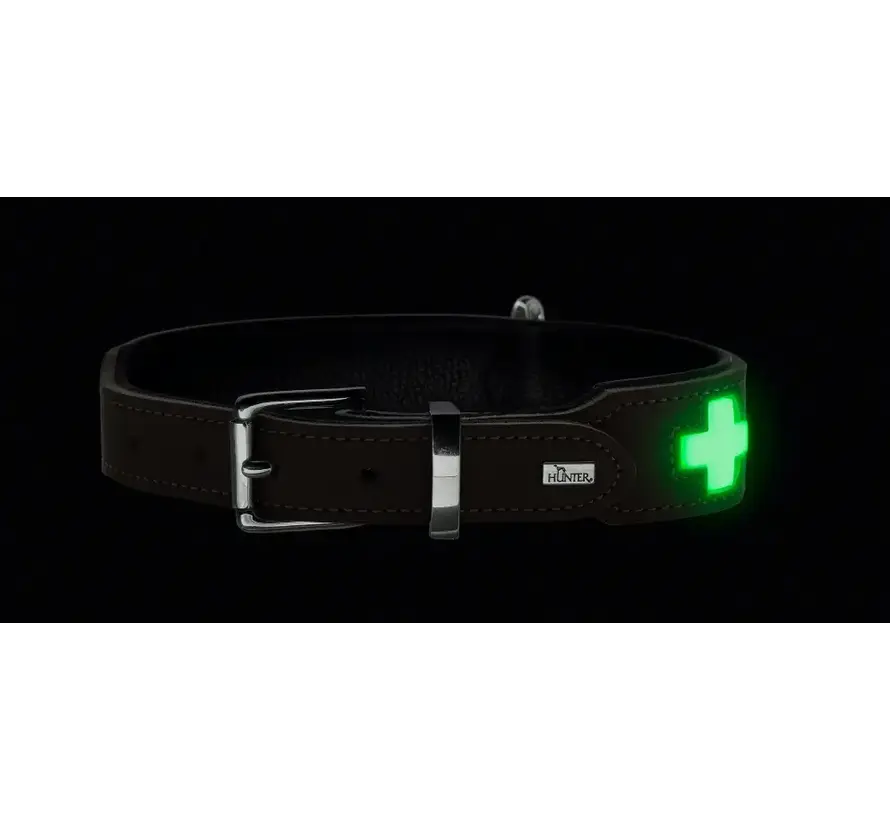Dog Collar Swiss Glow
