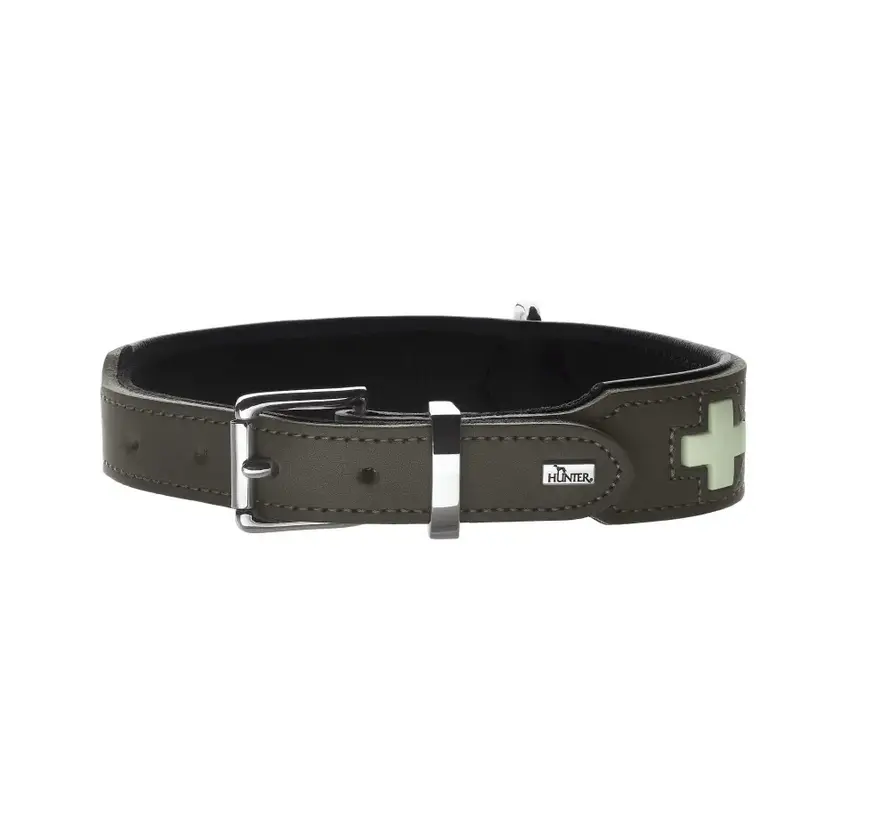Hondenhalsband Swiss Glow