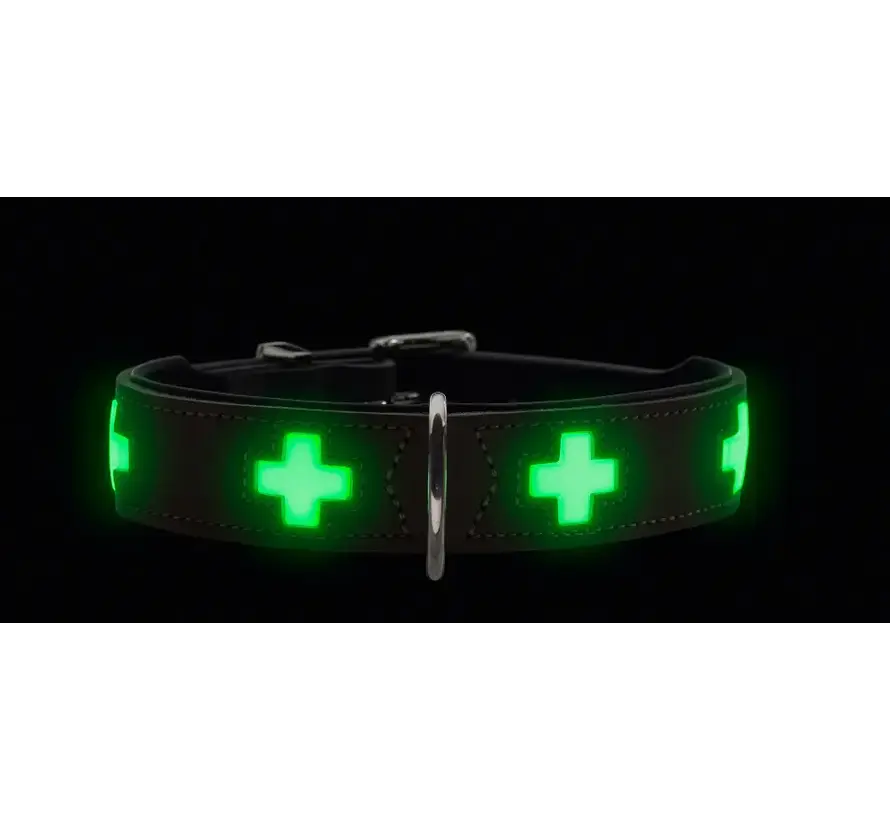 Hondenhalsband Swiss Glow