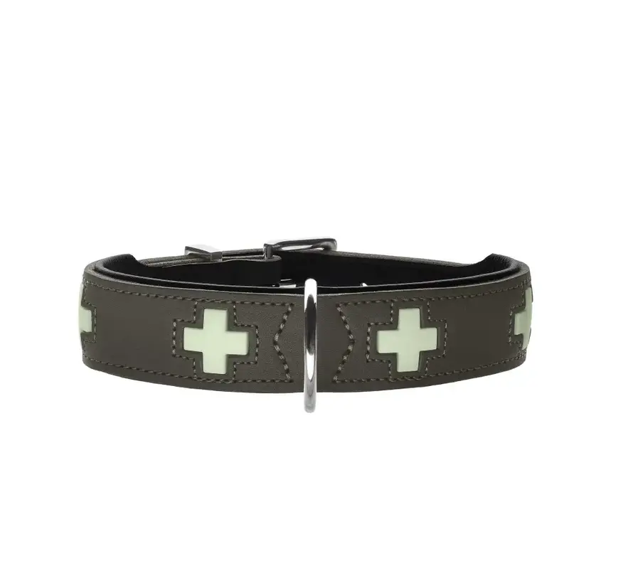 Dog Collar Swiss Glow