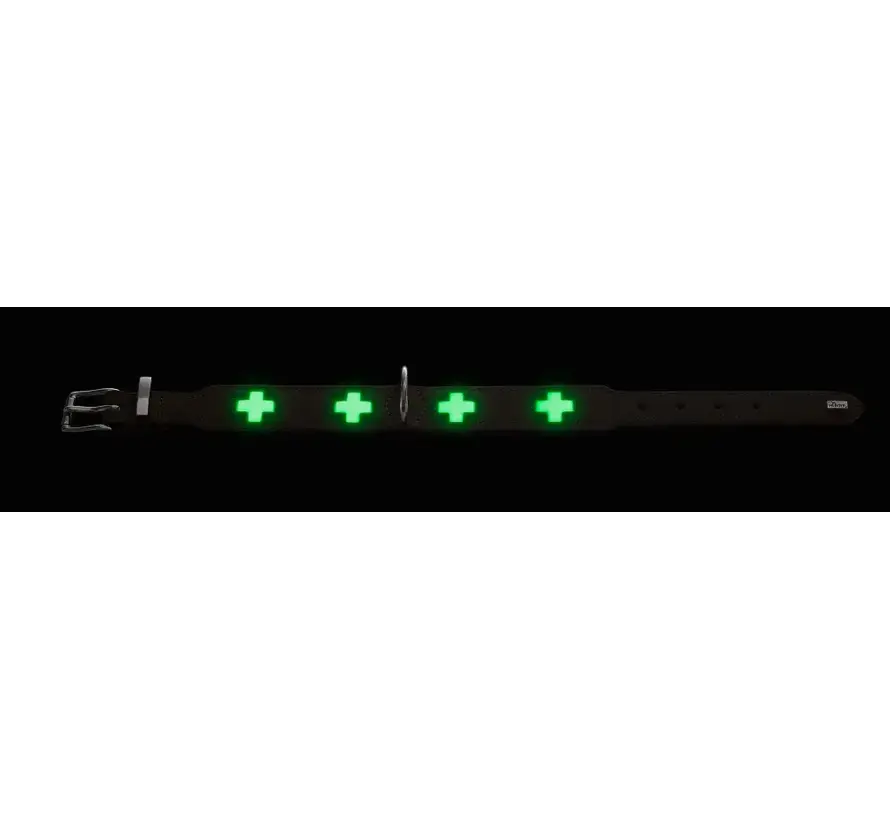 Dog Collar Swiss Glow
