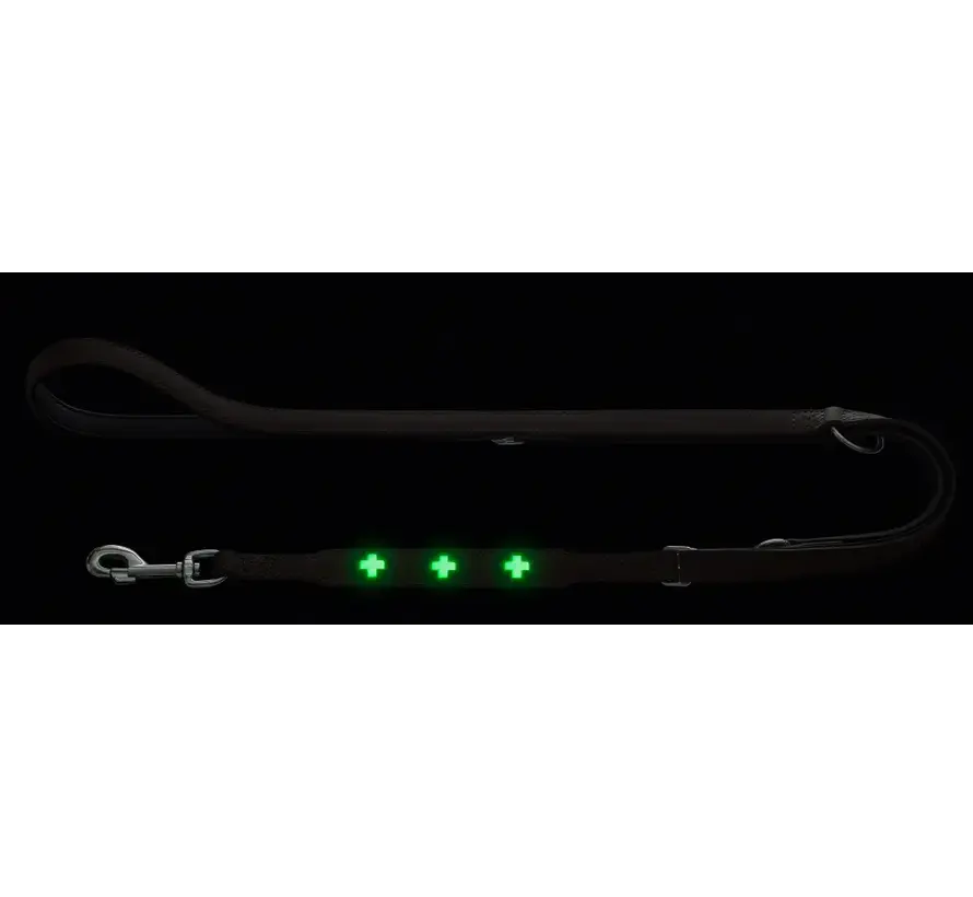 Adjustable Dog Leash Swiss Glow