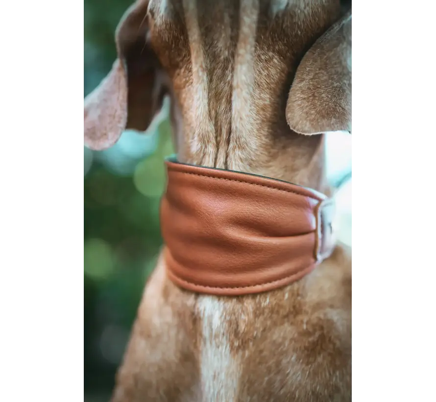 Ergonomische Hondenhalsband Arvika Cognac