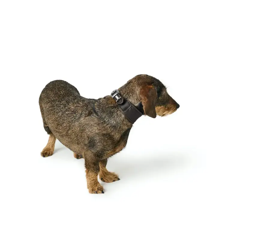 Ergonomic Dog Collar Arvika Black