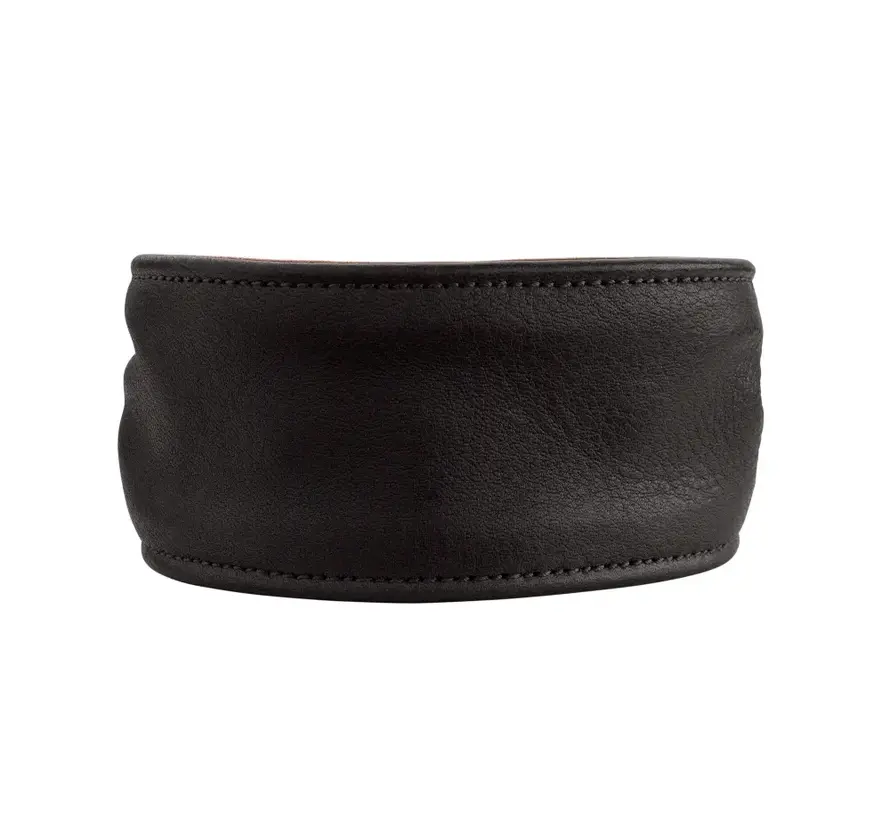 Ergonomische Hondenhalsband Arvika Zwart