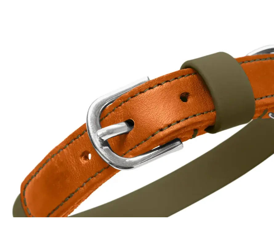 Dog Collar Wolmar BioThane® Khaki