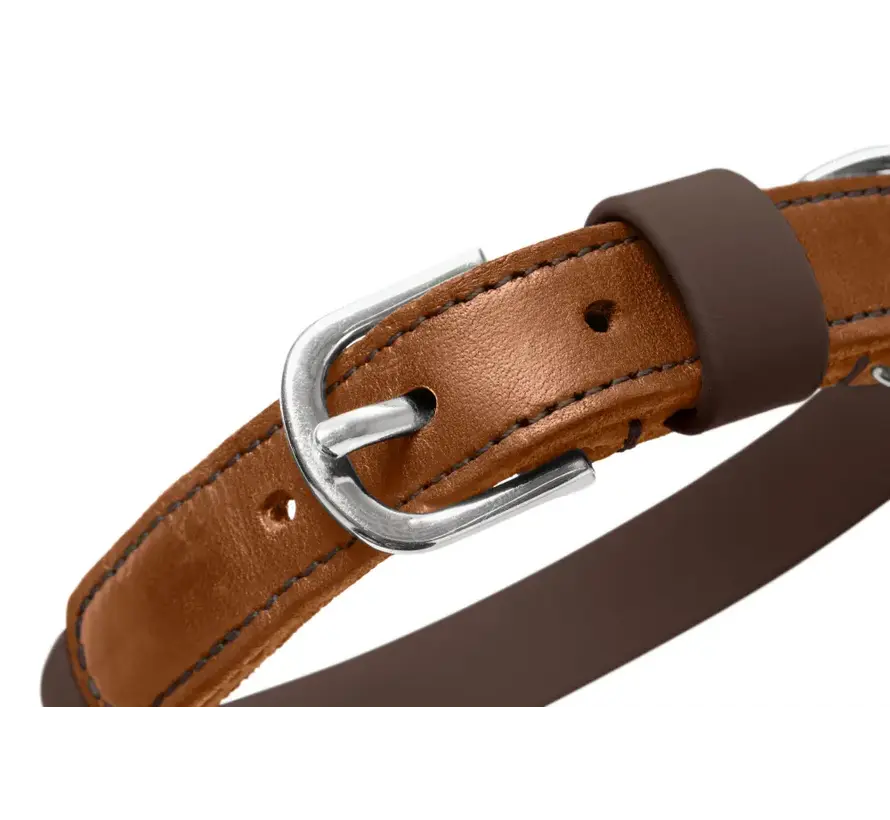 Hondenhalsband Wolmar BioThane® Bruin