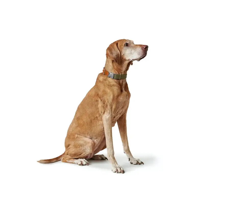 Dog Collar Wolmar Alu Strong BioThane® Khaki