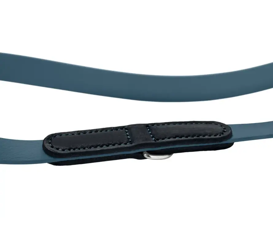 Verstelbare Hondenriem Wolmar BioThane® Blauw