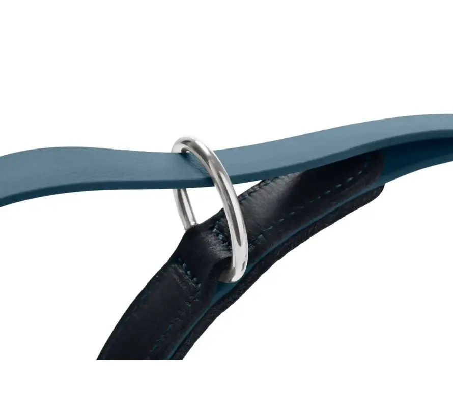 Adjustable Dog Leash Wolmar BioThane® Blue