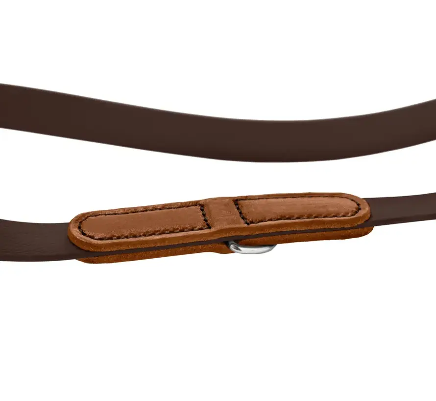 Adjustable Dog Leash Wolmar BioThane® Brown