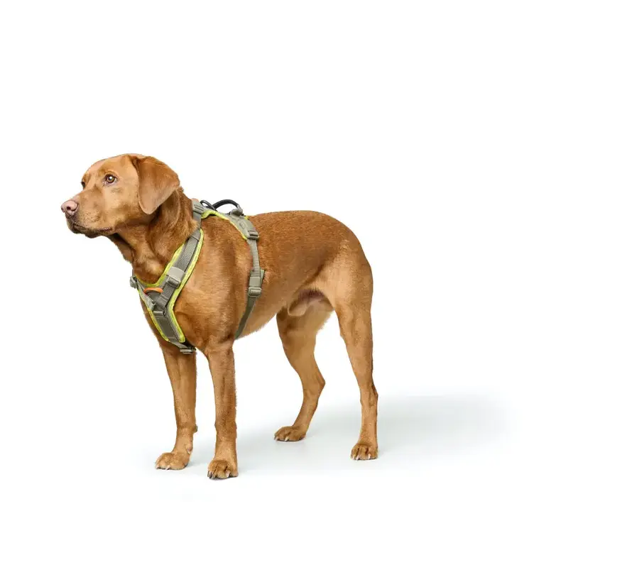 Dog Harness ErgoMove Pro™ Grey-Green
