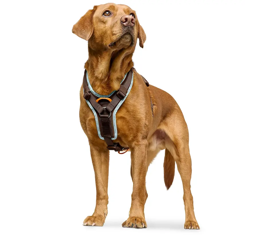 Dog Harness ErgoMove Pro™ Brown
