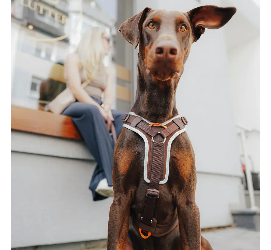 Dog Harness ErgoMove Pro™ Brown