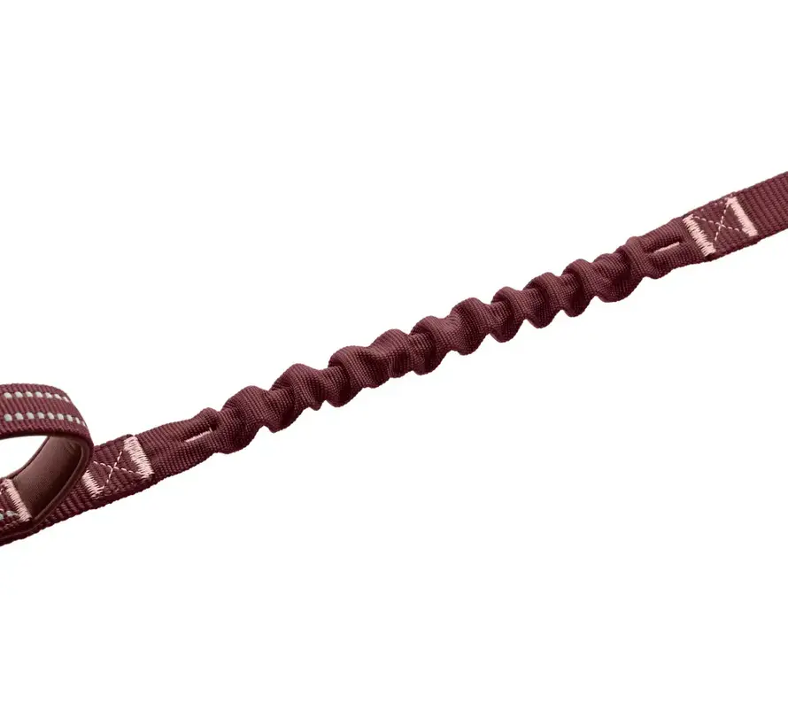Multifunctional Dog Leash ErgoMove Pro™ Berry