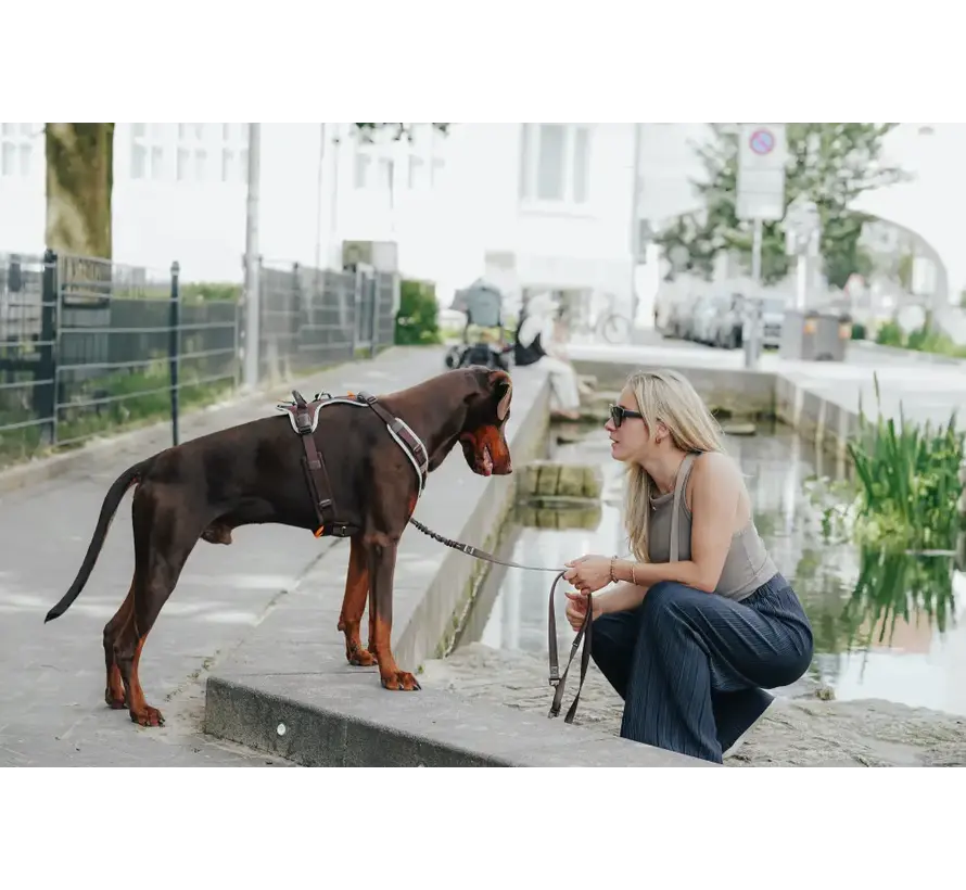 Multifunctional Dog Leash ErgoMove Pro™ Brown
