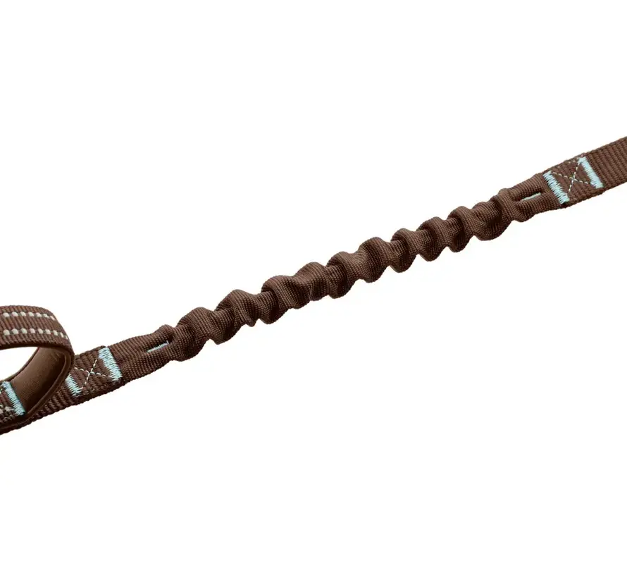 Multifunctional Dog Leash ErgoMove Pro™ Brown