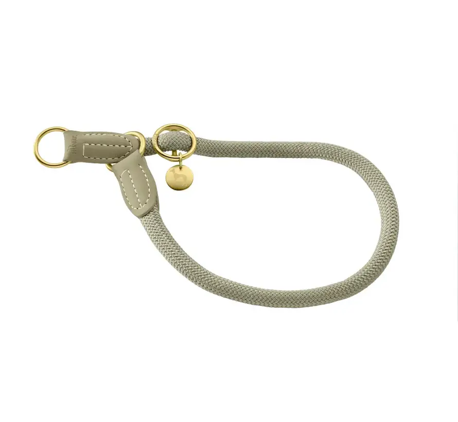 Retriever collar Malibu Sage Green