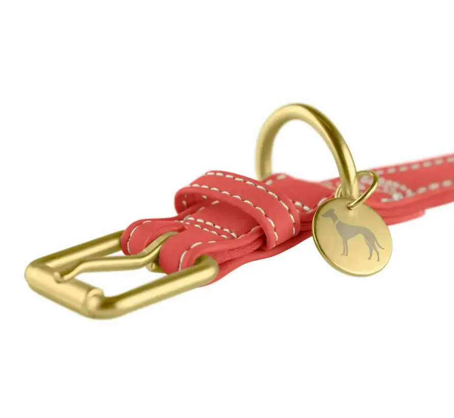 Dog Collar Malibu Coral