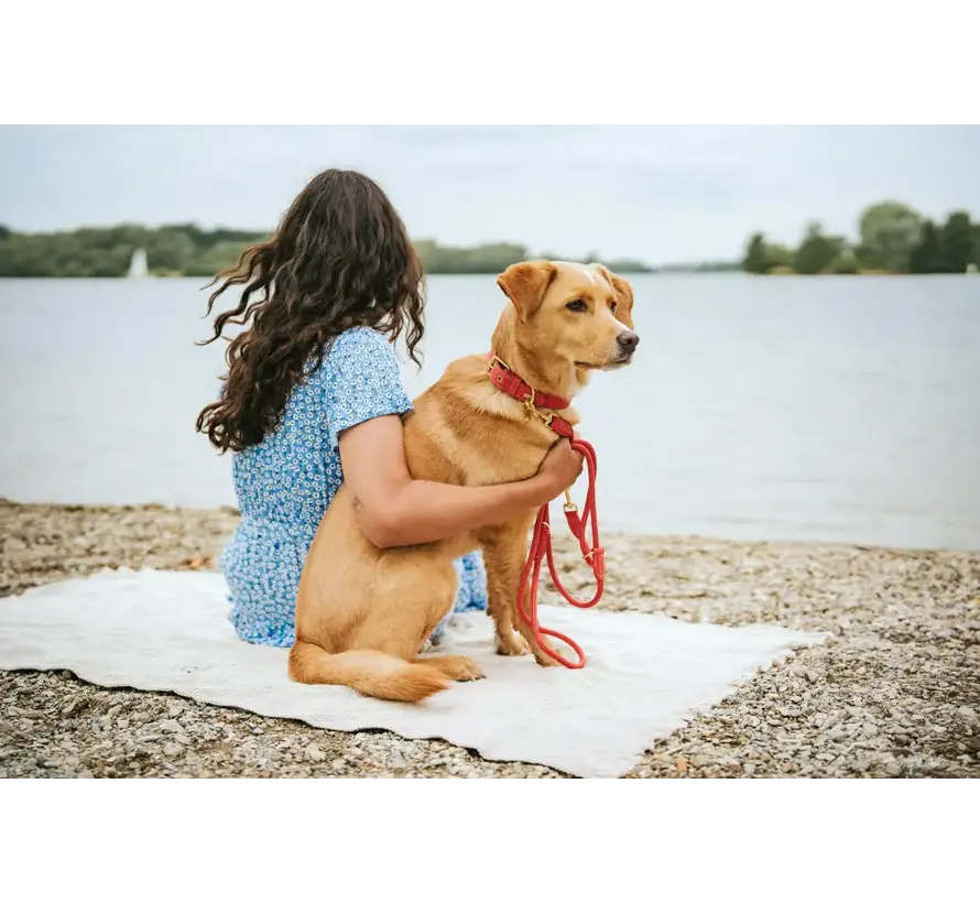 Adjustable Dog Leash Malibu Coral