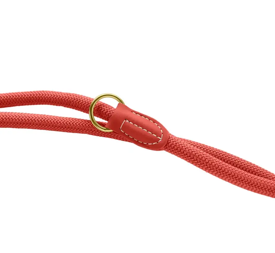 Adjustable Dog Leash Malibu Coral