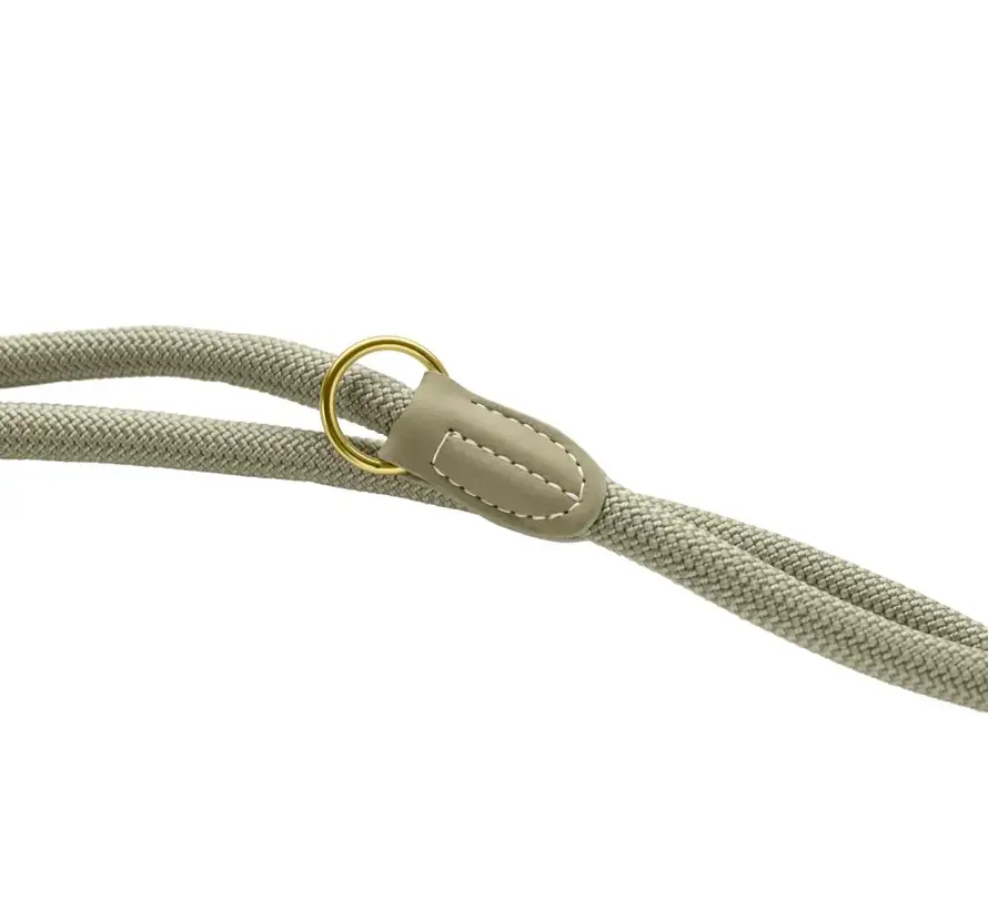 Verstelbare Hondenriem Malibu Sage Green