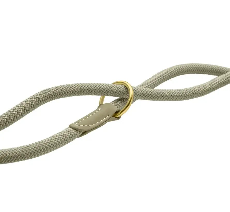 Adjustable Dog Leash Malibu Sage Green