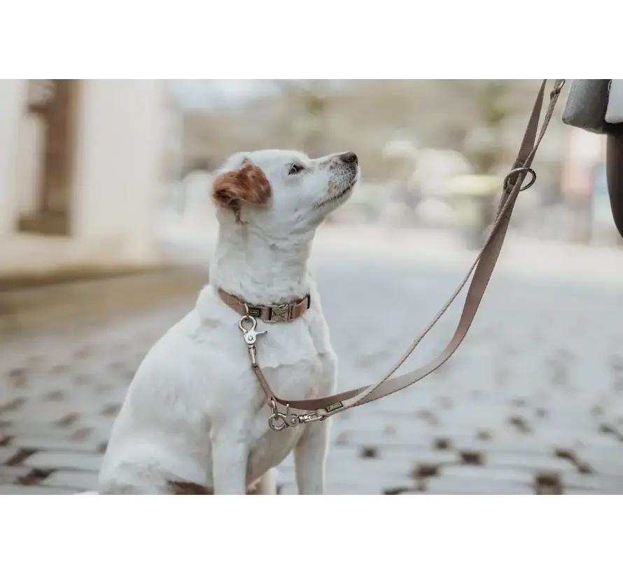 Dog Collar Inari Alu Strong Beige