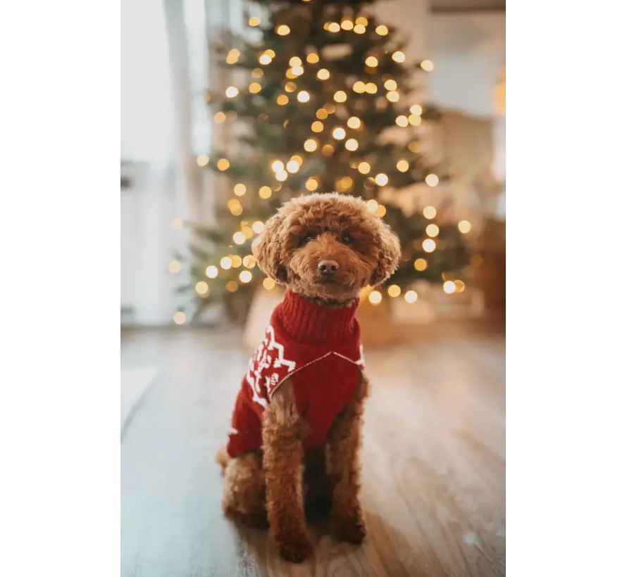 Dog Sweater Birka Red