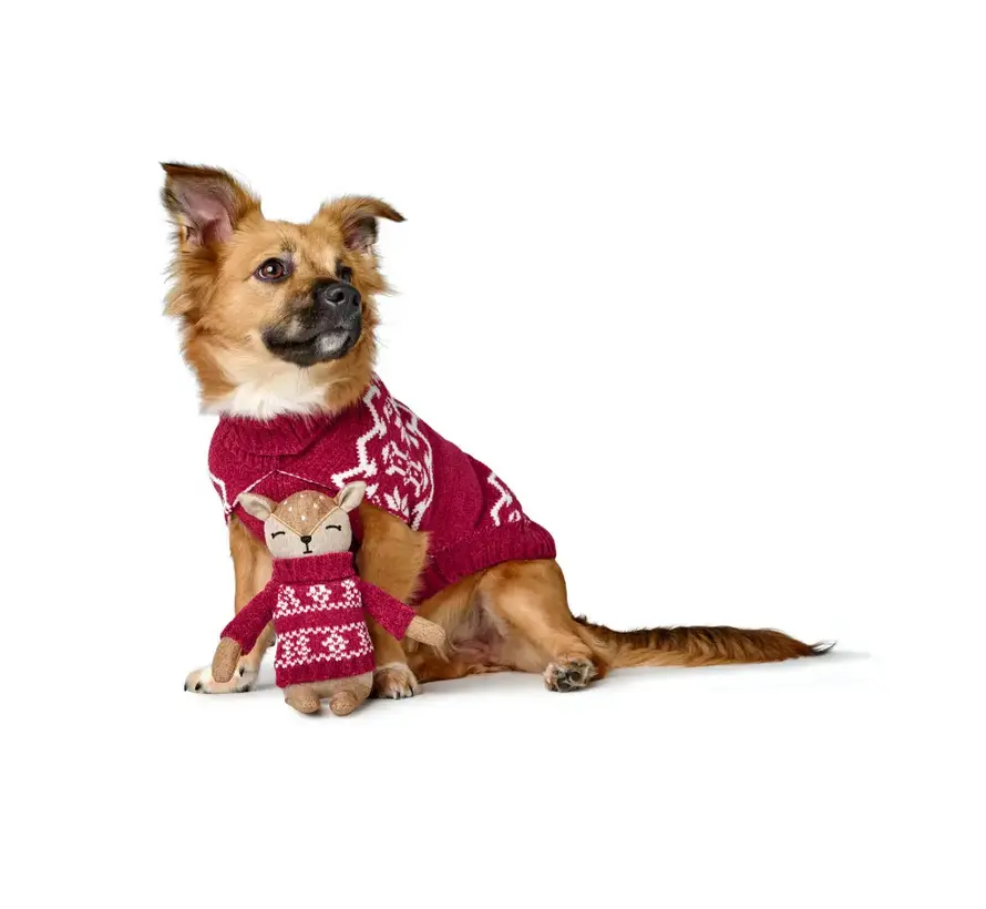 Dog Sweater Birka Red