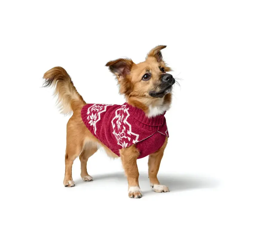 Dog Sweater Birka Red