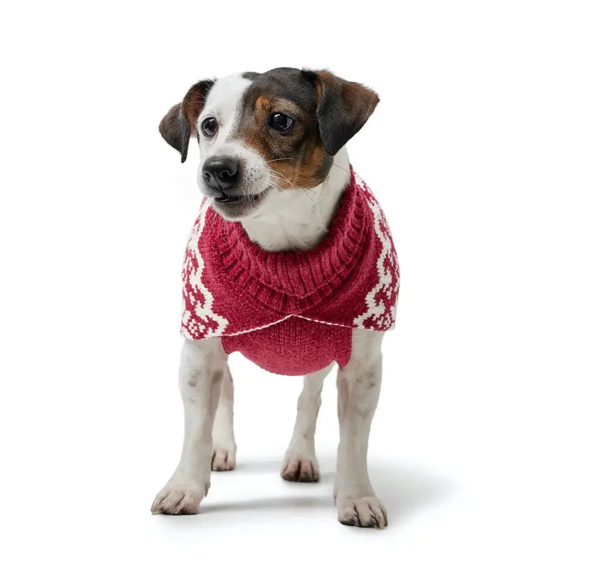 Dog Sweater Birka Red