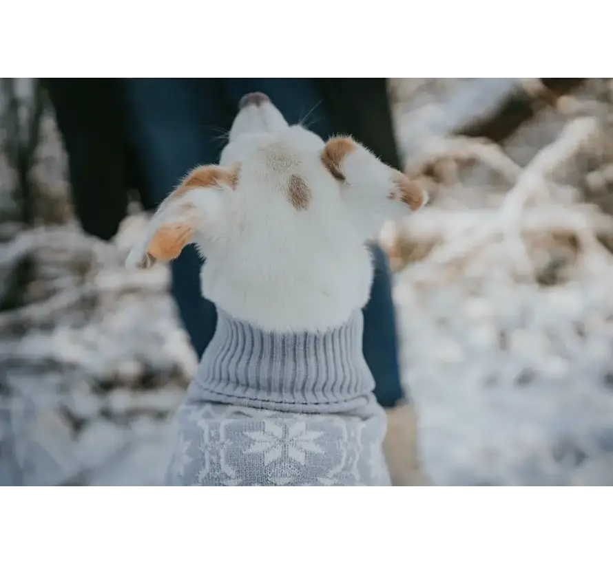 Dog Sweater Birka Blue-Gray