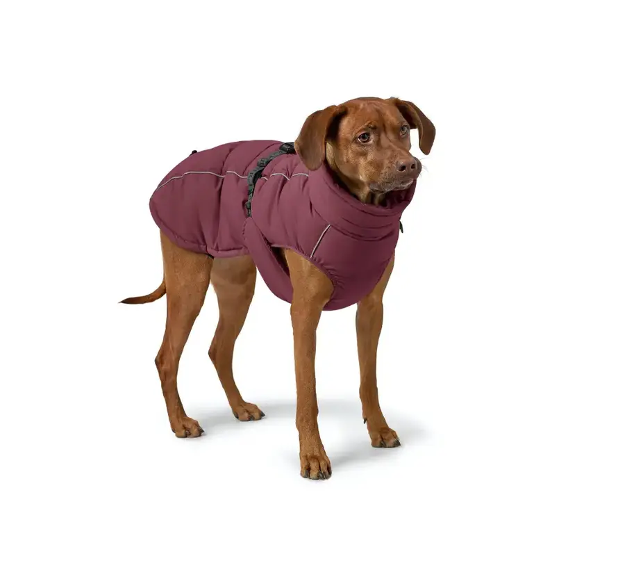Dog Coat Paxson Berry