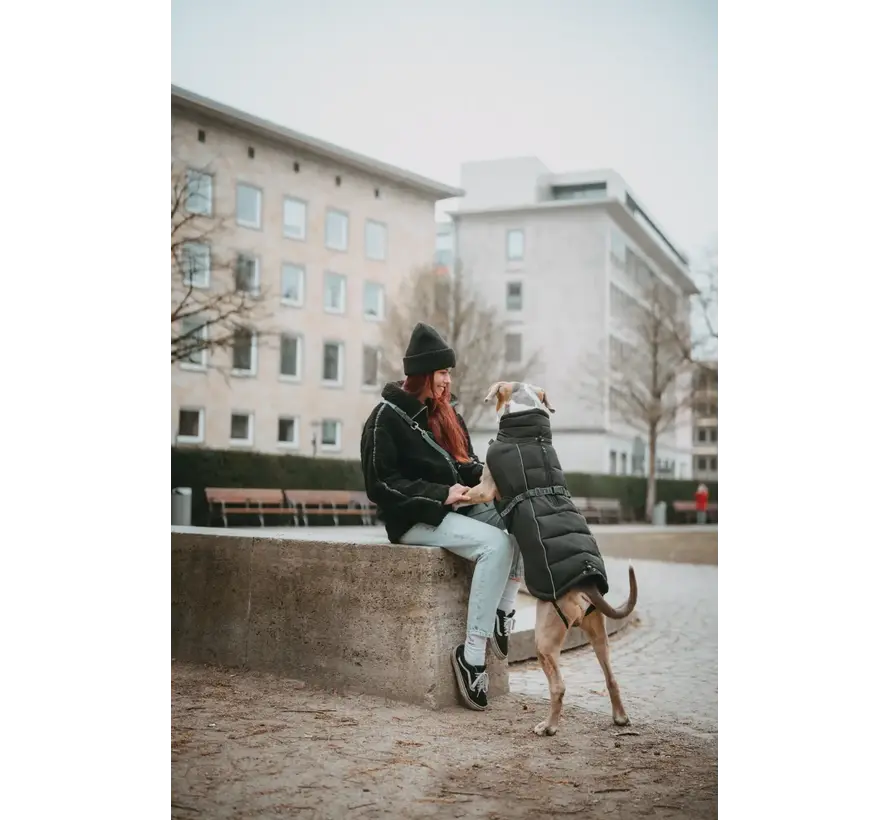 Dog Coat Paxson Black