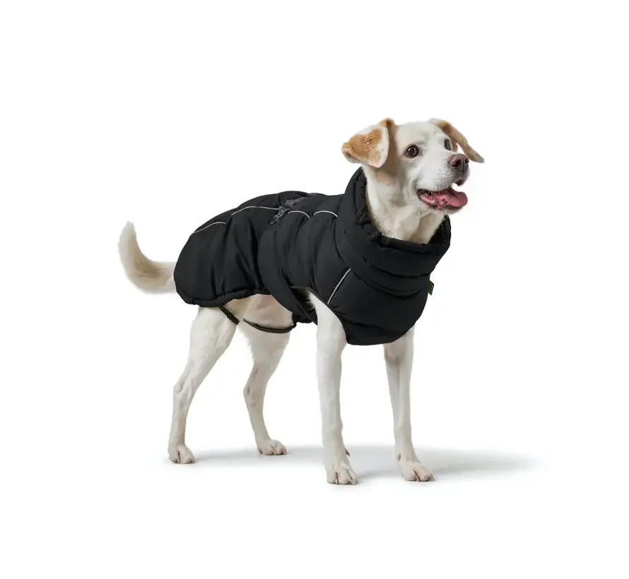 Dog Coat Paxson Black