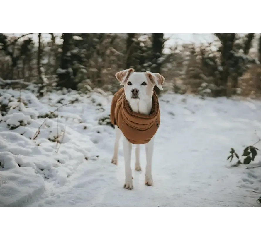 Dog Coat Paxson Caramel