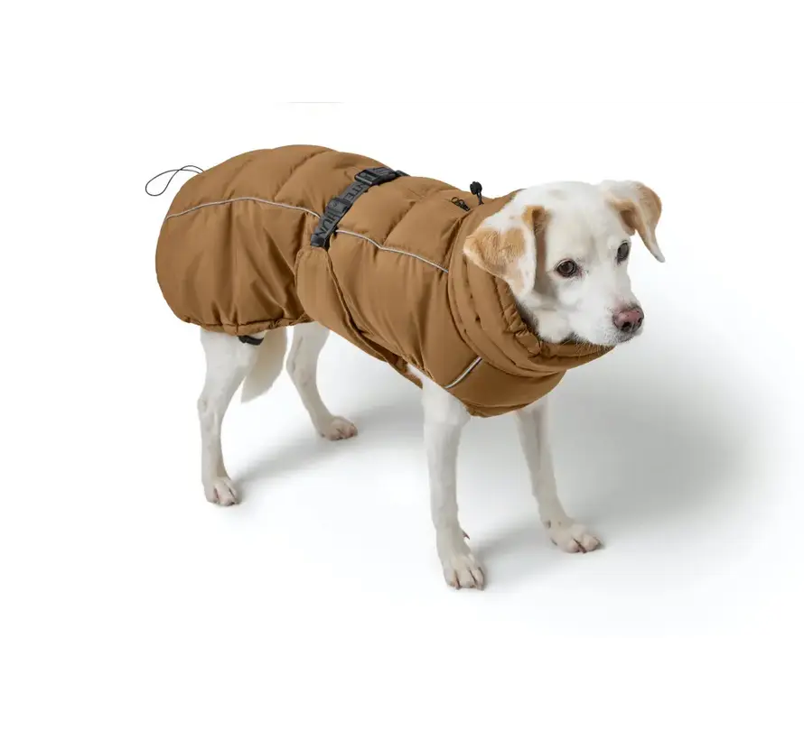 Dog Coat Paxson Caramel